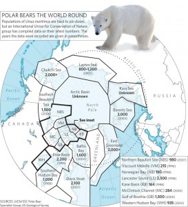polar bear map